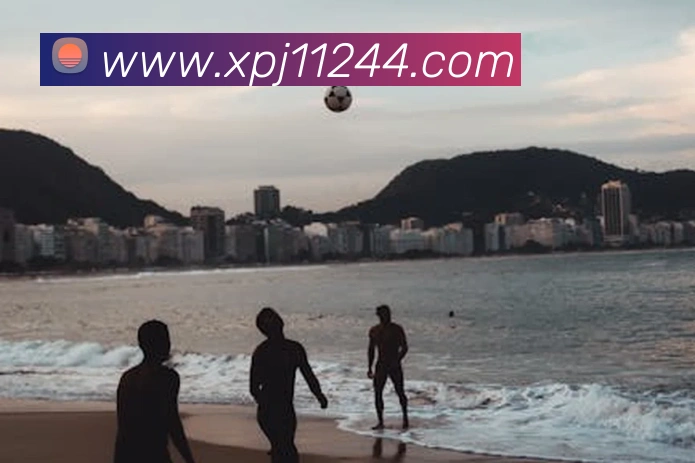 新葡京在线网址平台生态图